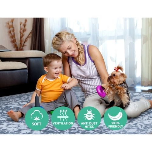 Floor Rugs 200x290 Bedroom Living Room Rug Large Non-Slip Mat Carpet Short Pile