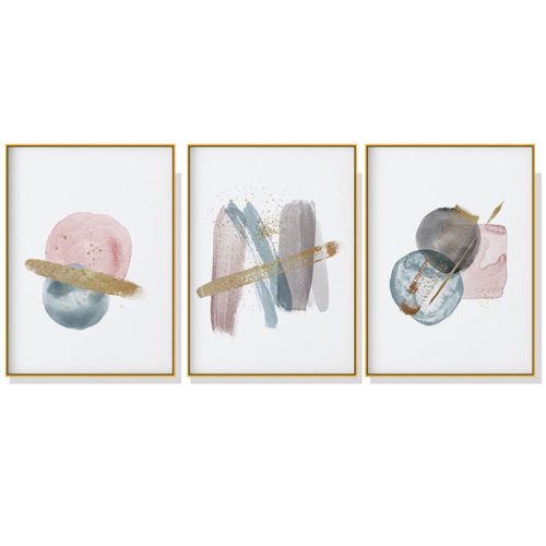 Gold Frame Canvas Wall Art Home Decor Blush Pink Watercolor 3 Sets 60cmx90cm