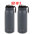 2 x Oasis 780ml Stainless Steel Insulated Drink Bottle w/ Sipper Straw - Steel