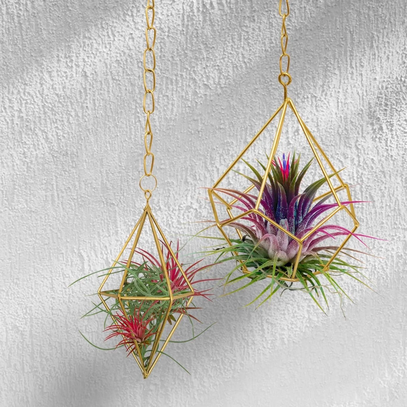 2x Chain Hanging Air Planter Gold Geo Plant Holder Hanger Flower Pot Display