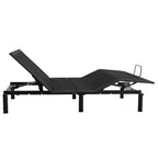 Tempur Motion Base King Single