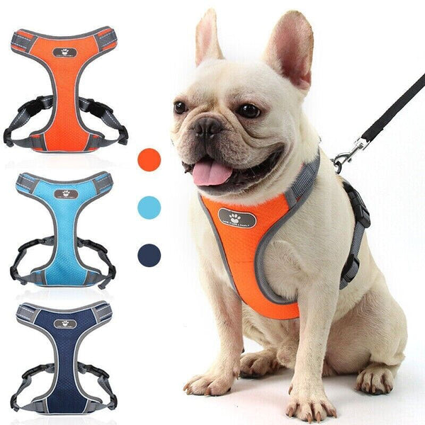 Love It No Pull Pet Harness Vest – Light Blue Small