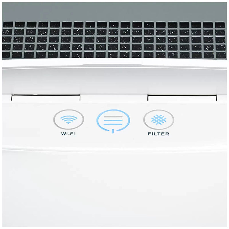 Blueair 205 Air Purifier with Smokestop Filter