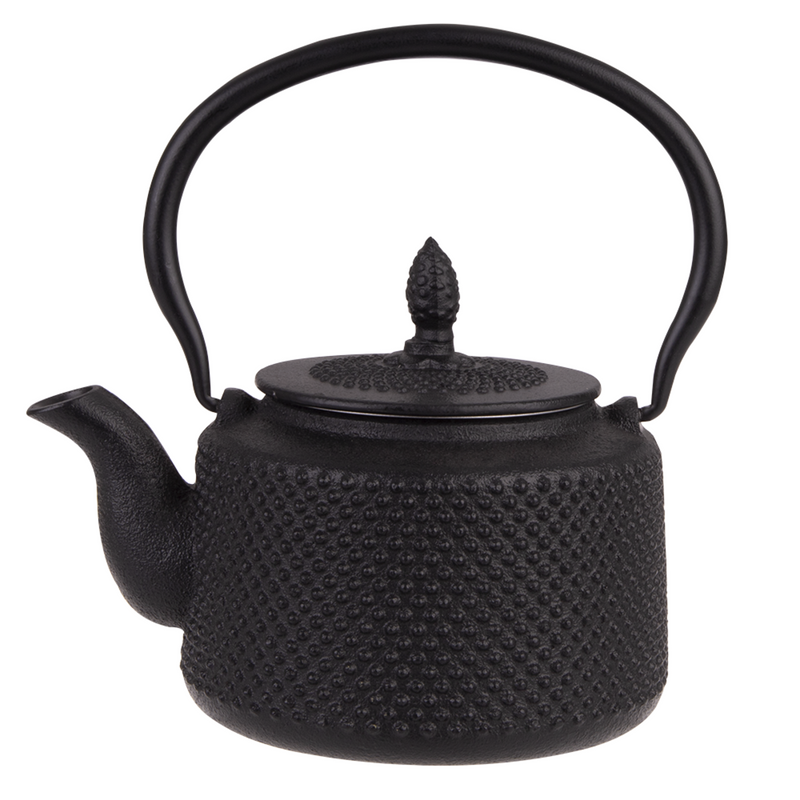 TEAOLOGY CAST IRON TEAPOT