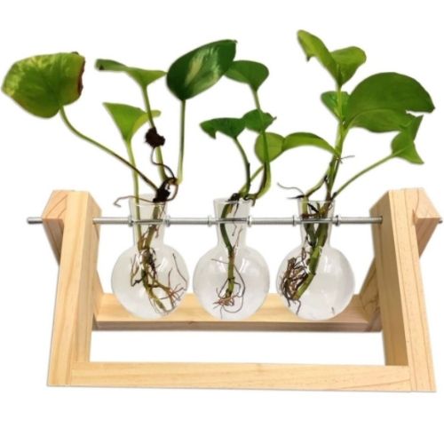 2 X DIY 3 Glass Vase Hanging Plant Terrarium Container Pot Decor W/ Wooden Stand