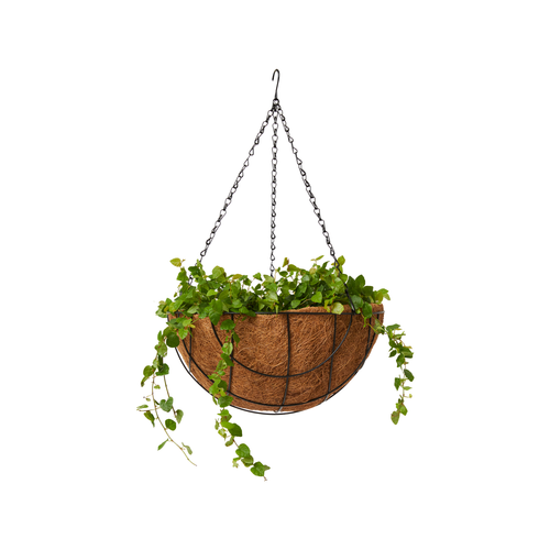 Steel Wire Hanging Basket For Plant