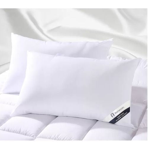 Ramesses Mulberry Silk Hypoallergenic Pillow Twin Pack 48 x 74 cm