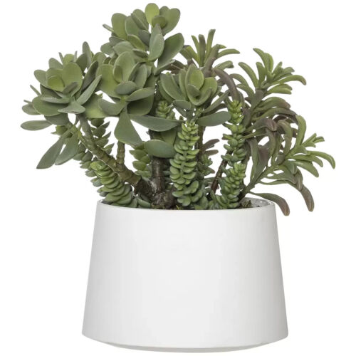 Rogue Black Label Jade Plant Allegra Pot Green/White 21 x 35 x 39cm